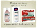 Flea products - Flea Treatment Products - Flea Control Flea products - Flea Treatment Products - Flea Control