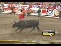 Embestida toro