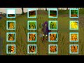 My new intro My new intro