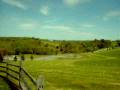 videos de Woodstock:  Bethel, NY