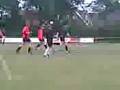 videos de Rinsumageast - Raard