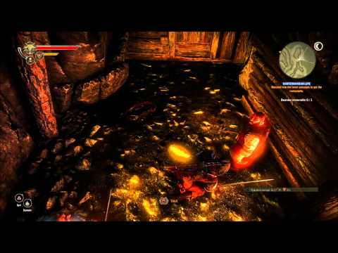 The Witcher 2 : Assassins of Kings