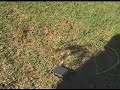 Kite Antenna Part 1 of 2