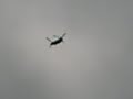 Helicoptero militar Helicoptero militar
