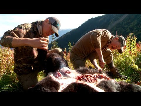 how to skin a bear for a rug