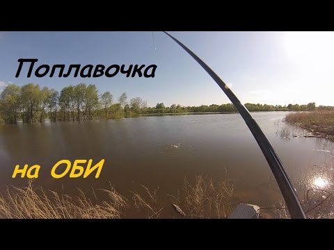 лещ весной на оби лещ весной на оби