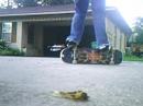 Cool primo trick