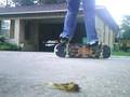 Cool primo trick
