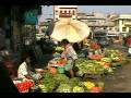 videos de Travels with Zippy