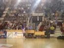 Harlem Globetrotters � Mondeville #5