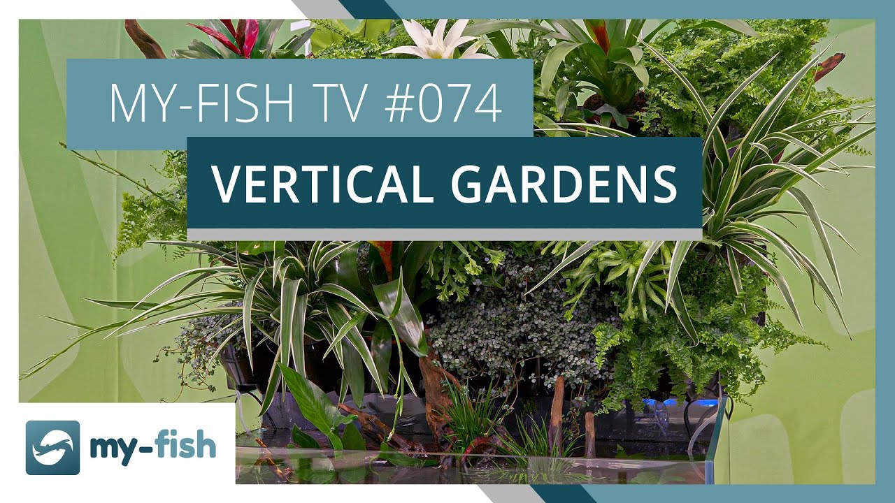 Vertical Gardens Vorstellung mit Oliver Knott (Interzoo 2022) | my-fish TV #074