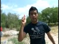 La Kaida de gonzo