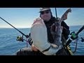 Extreme Huss Fishing !