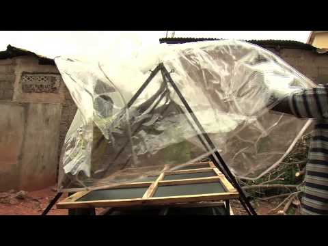 HIGH QUALITY MAIZE FLOUR IN BENIN 