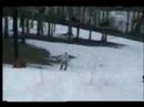 Megalomaniac - Ski Club \ Megalomaniac - Ski Club \