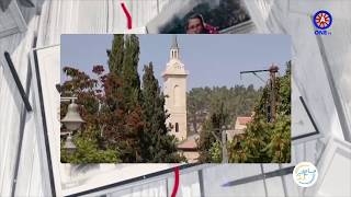 عين كارم في فلسطين الحبيبة مع رؤى بلتاجي عين كارم في فلسطين الحبيبة مع رؤى بلتاجي