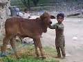 Sargodha: Talking to Innocent Kid on a dera