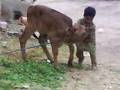 clip video H2O Innocent Kid