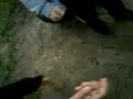 eser fliegt hin eser fliegt hin