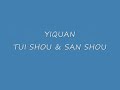 Yiquan conference in Beijing 2007 (2)