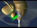 treatments for prostate cancer