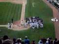 Cubs vs Padres brawl