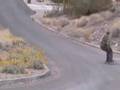 Freebord Video...Freebord