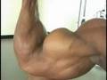 Bodybuilding-Marshal