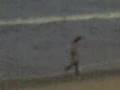 videos de Paraisoo 1