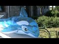 Preview video giugno 2011