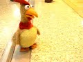 The Most Famous Dancing Chicken On The World The Most Famous Dancing Chicken On The World