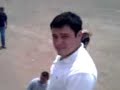 vivillo.html