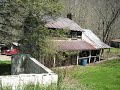 a spring visit to the stump lick hollow homeplace of philip marion cales (4/5/1851 - 8/10/1934) and his son, julian spurgeon cales (2/14/1899 - 11/9/1974). philip and wife mary susan (ward) raised ten children here , followed by julian and his wife delphia mae (bragg) with their twelve children. lots of people for a house with a 16'x35' footprint! ... april2009 001 