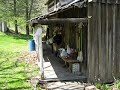 a spring visit to the stump lick hollow homeplace of philip marion cales (4/5/1851 - 8/10/1934) and his son, julian spurgeon cales (2/14/1899 - 11/9/1974). philip and wife mary susan (ward) raised ten children here , followed by julian and his wife delphia mae (bragg) with their twelve children. lots of people for a house with a 16'x35' footprint! ... april2009 001 