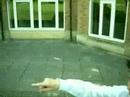 David Attenborough spoof, School visit David Attenborough spoof, School visit