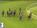 Return of the Greatest Racehorse ever! Return of the Greatest Racehorse ever!