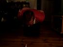 Krogh v�lter t�ndstik�ske