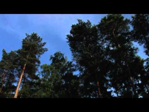 Test Aufnahme mit der Sony HDR-FX1 HDV (Natur)