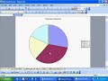Excel Pie Chart Instructional Video Podcast