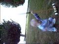 Croquet Baby NV CV 10