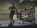 Samson & Vyper V\