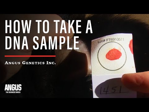 how to obtain dna from blood