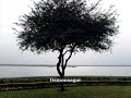 Amazing Hyderabad