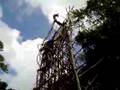 Dive to Earth - The Original Bungy Jump!