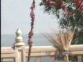videos de Krabi ( 8 )