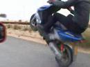 Zokados en el Monte I Zokados en el Monte I