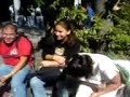 morsa sufriendo unos reversivos prepa7