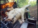Spanferkel (Kaspar) vs Hektor 2000 /roast pork Spanferkel (Kaspar) vs Hektor 2000 /roast pork