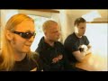 Stam1na - Lokki