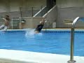masocas a lo bestia